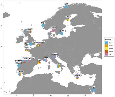 European marine omics biodiversity observation network: a strategic outline for the implementation of omics approaches in ocean observation